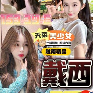限熟客【北區】戴西🇻🇳越南$3100（月）