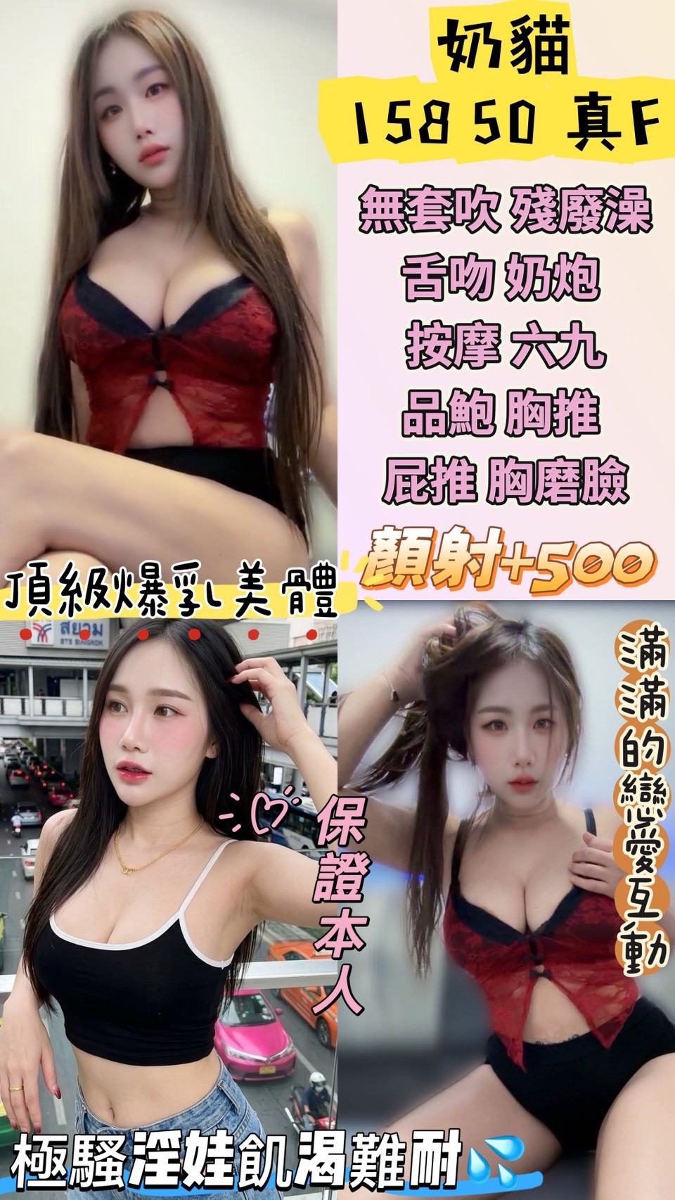 【中壢】奶貓🇹🇭泰國$2300（神）
