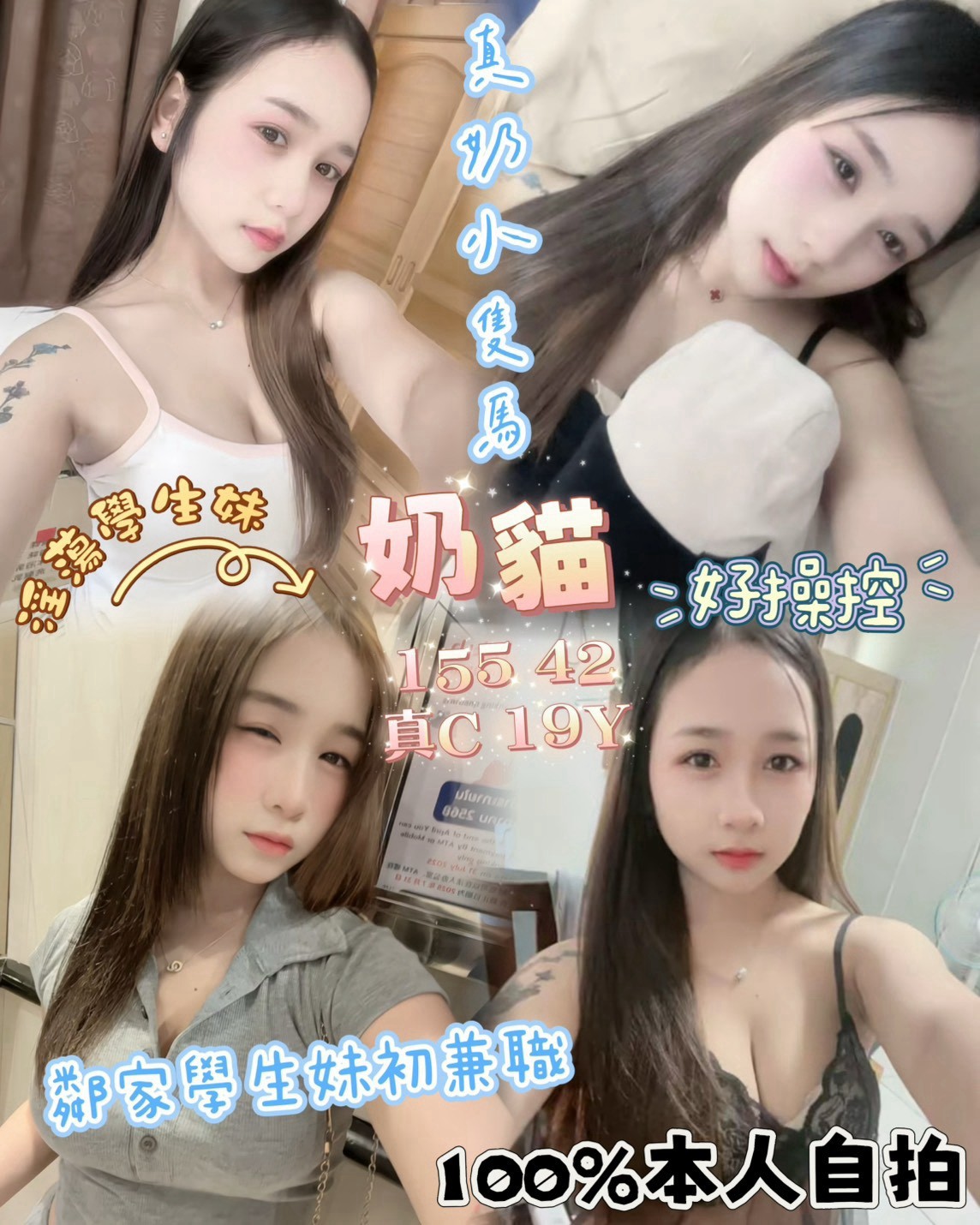 【前金】奶貓🇲🇾馬來$2500（桑合）